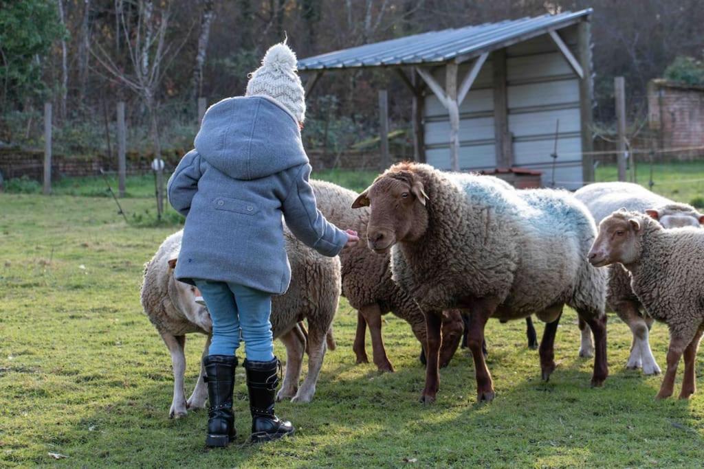 Maison Au Milieu Des Bois Et Des Animaux Jouy-le-Potier Kültér fotó