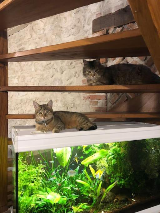Maison Au Milieu Des Bois Et Des Animaux Jouy-le-Potier Kültér fotó