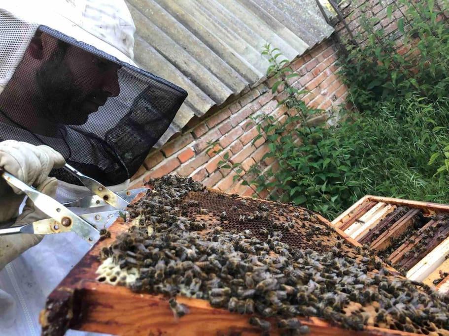Maison Au Milieu Des Bois Et Des Animaux Jouy-le-Potier Kültér fotó